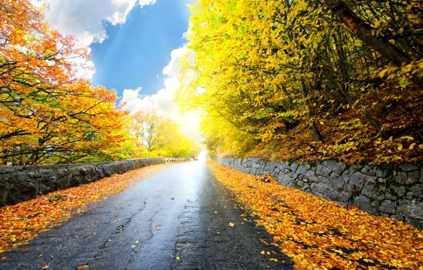 Картинка дорога, осень, лес, небо, листья, облака, деревья, пейзаж, природа