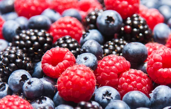 Картинка ягоды, малина, черника, клубника, ежевика, berries, blueberries, strawberries, blackberries, raspberries