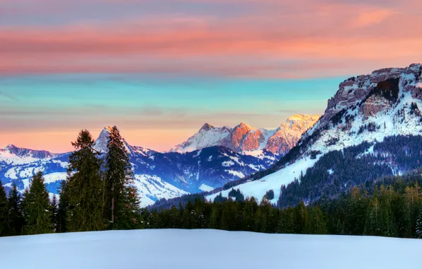 Картинка зима, лес, небо, облака, снег, горы, Швейцария, Альпы, Январь