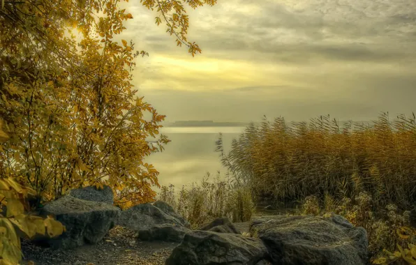 Картинка осень, трава, тучи, туман, река, камни, берег, Россия, кусты, Урал