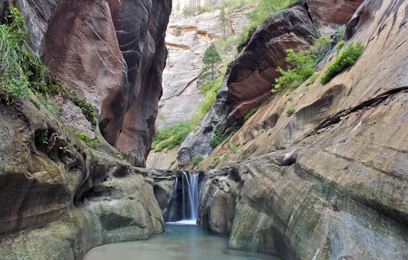 Картинка деревья, река, камни, скалы, водопад, каньон, ущелье, Юта, США, Zion National Park