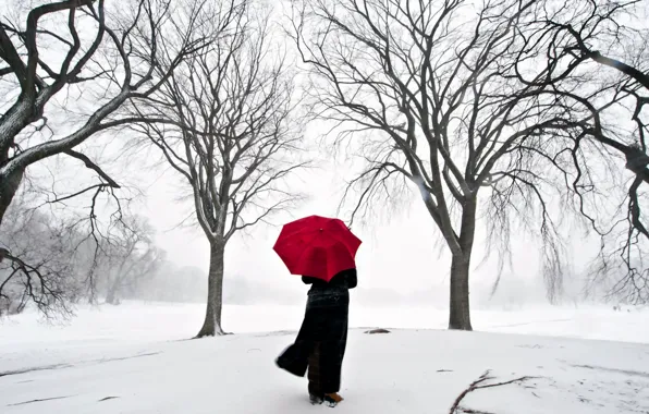 Картинка девушка, снег, япония, зонт, сакура