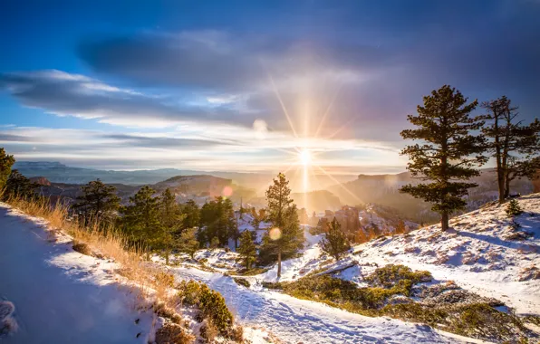 Картинка зима, солнце, пейзаж, природа, рассвет