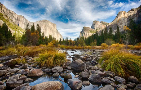 Картинка лес, пейзаж, горы, парк, река, Yosemite, Waterfall, Valley, Fog, National Park, Tunnel