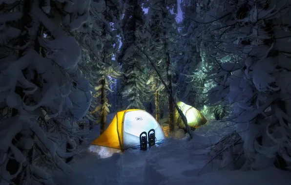 Картинка зима, лес, свет, снег, ночь, сугробы, палатка, путешествие, туризм, поход, привал, ночевка