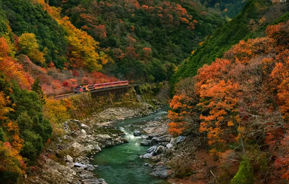 Картинка дорога, осень, лес, деревья, горы, река, поезд