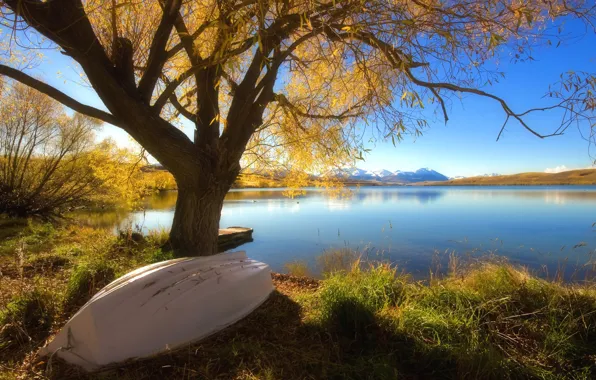 Картинка осень, озеро, дерево, Лодка