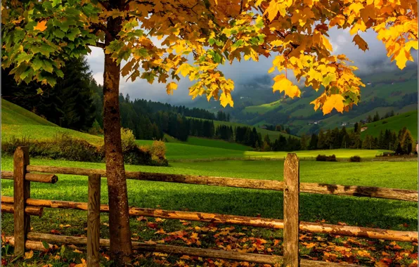 Картинка дорога, осень, лес, небо, трава, листья, деревья, горы, природа, colors, colorful, grass, forest, road, sky, …