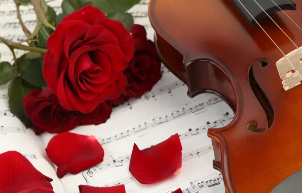 Картинка цветы, ноты, музыка, скрипка, розы, лепестки, music, книга, flowers, violin, book, petals, roses, sheet music