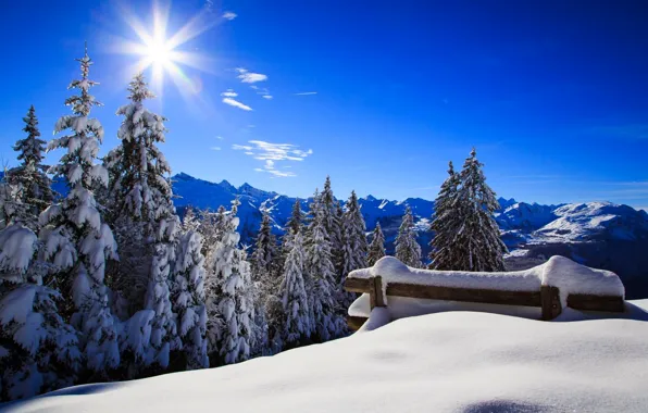 Картинка зима, лес, небо, солнце, снег, пейзаж, скамейка, природа, парк, white, forest, sky, landscape, nature, sunset, …