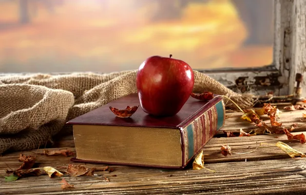 Картинка осень, листья, стол, фон, яблоко, окно, сухие, книга
