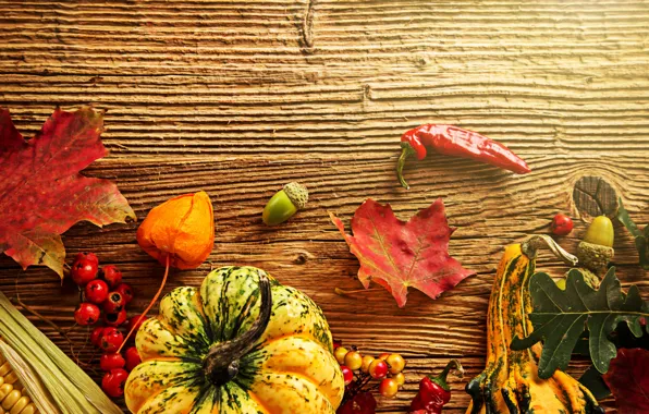 Картинка осень, листья, ягоды, дерево, кукуруза, урожай, тыква, перец, желуди