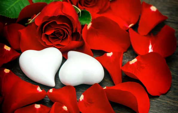Картинка розы, лепестки, сердечки, бутоны, День Святого Валентина