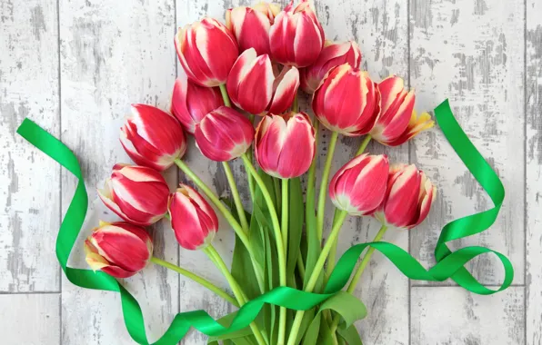 Картинка цветы, букет, лента, тюльпаны, fresh, flowers, tulips