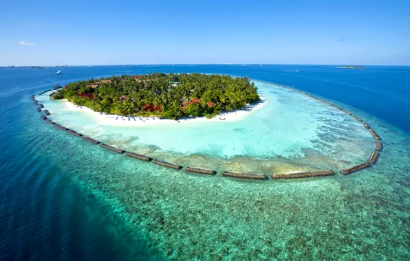 Картинка песок, море, пляж, солнце, тропики, пальмы, остров, горизонт, домики, Мальдивы, Kurumba