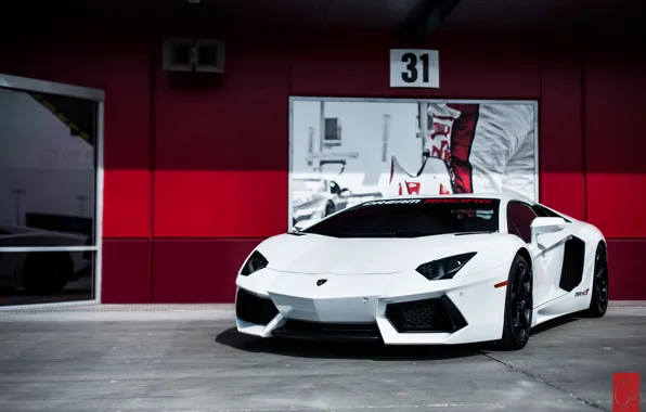 Картинка белый, Lamborghini, суперкар, Aventador, ламборгини, авентадор