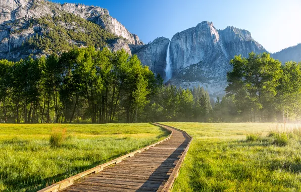Картинка лес, деревья, горы, водопад, Калифорния, дорожка, США, Yosemite National Park