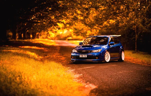 Картинка осень, Subaru, Impreza, синяя, STI, blue, субару, импреза