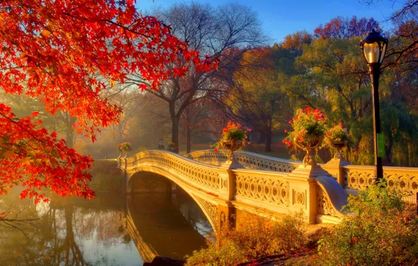 Картинка осень, солнце, деревья, цветы, мост, туман, парк, утро, фонари, речка