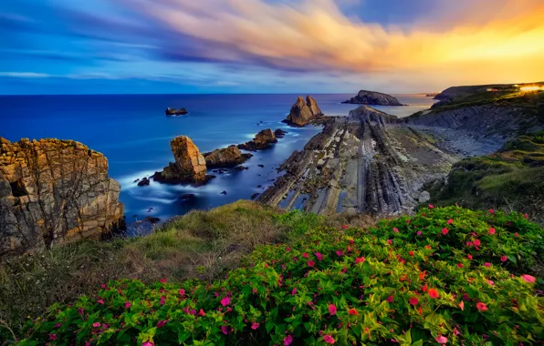 Картинка море, закат, цветы, скалы, побережье, Испания, Spain, Costa Quebrada, Бискайский залив, Cantabria, Кантабрия, Bay of …