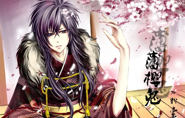 Картинка цветы, сакура, самурай, иероглифы, парень, Hakuouki, Saitou Hajime, демоны бледной сакуры, сайто