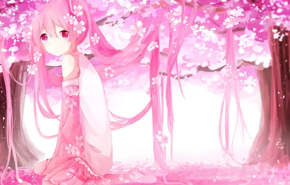 Картинка девушка, деревья, цветы, аниме, лепестки, сакура, арт, vocaloid, sakura miku