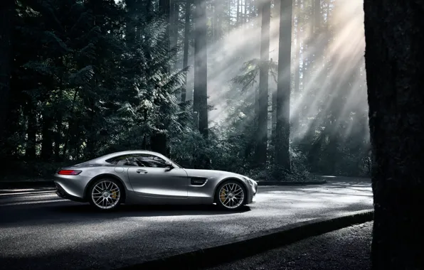 Картинка Mercedes-Benz, Dark, AMG, Sun, Color, Side, Silver, Forest, 2016, GT S