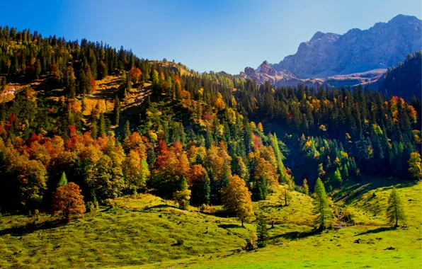 Картинка осень, небо, деревья, горы, природа, холмы, Австрия, Карвендель, Тироль