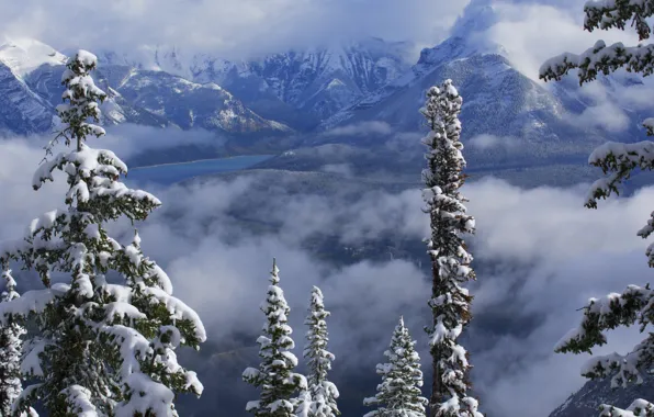 Картинка зима, облака, снег, деревья, горы, озеро, Канада, Альберта, Banff National Park, Alberta, Canada, Банф, Канадские …