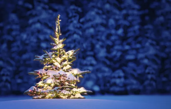 Картинка зима, снег, деревья, пейзаж, ночь, природа, Рождество, Christmas, New Year