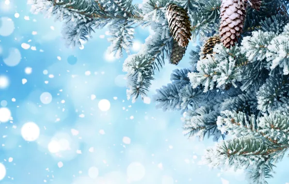 Картинка снег, иголки, ветки, фон, елка, Новый год, шишки