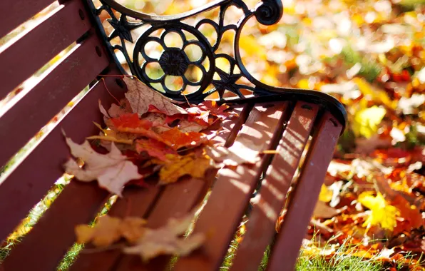 Картинка осень, листья, макро, скамейка, парк, желтые, размытость, лавочка, лавка, оранжевые, скамья