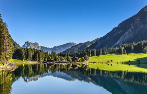 Картинка лес, горы, озеро, отражение, Австрия, Austria, Тироль, Tyrol