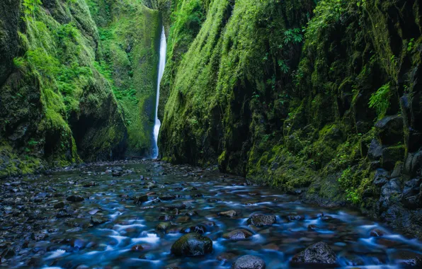 Картинка река, камни, скалы, водопад, мох, Орегон, ущелье, Oregon, Columbia River, Columbia River Gorge, река Колумбия, …