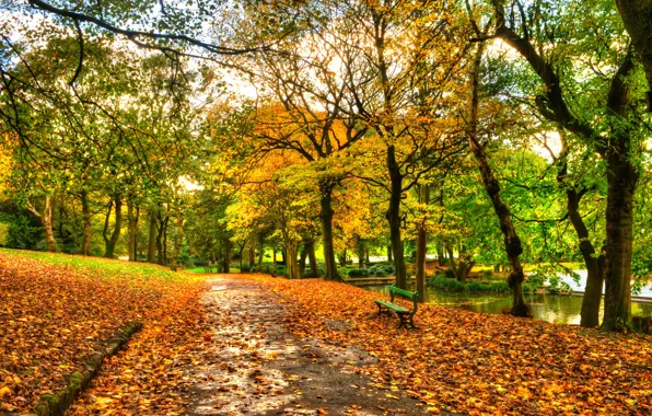 Картинка осень, лес, небо, листья, вода, деревья, скамейка, природа, парк, река, вид, hdr, прогулка, forest, аллея, …