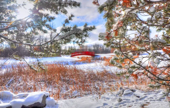 Картинка зима, снег, природа, ветка, мостик