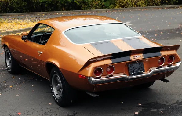 Картинка листья, оранжевый, фон, купе, Chevrolet, Камаро, Шевроле, 1971, Camaro, вид сзади, Muscle car, Мускул кар, …