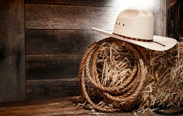 Картинка wall, wood, cowboy, rope, white hat, straw