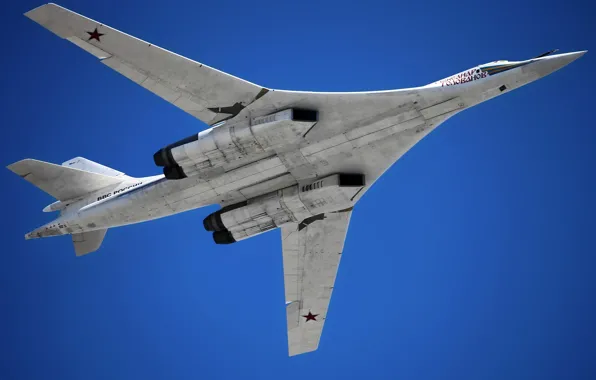 Картинка Россия, бомбардировщик, ракетоносец, стратегический, ввс, Ту-160, белый лебедь, Blackjack, сверхзвуковой