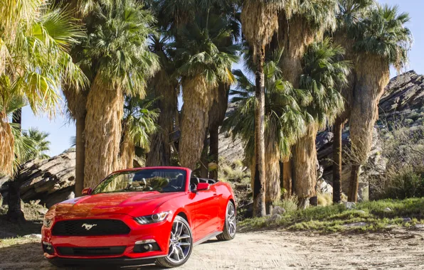 Картинка Mustang, Ford, мустанг, форд, Convertible, 2014