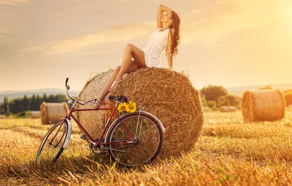 Картинка поле, девушка, велосипед, подсолнух, стог сена