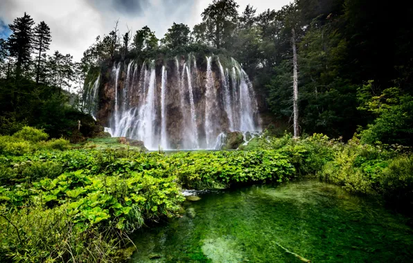 Картинка лес, деревья, скала, озеро, водопад, Хорватия, Plitvice Lakes National Park