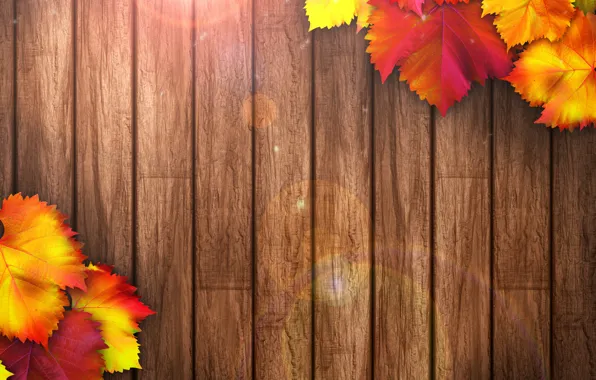Картинка дерево, colorful, wood, texture, autumn, leaves, осенние листья