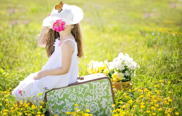 Картинка поле, лето, цветы, природа, коллаж, бабочка, шляпа, девочка, чемодан, ребёнок, сарафан