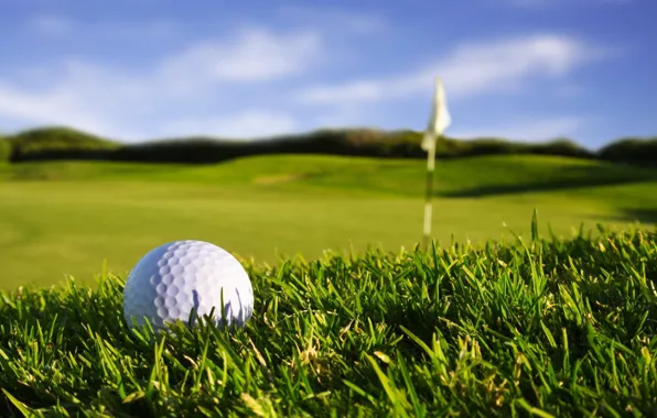 Картинка небо, трава, макро, спорт, игра, флаг, grass, golf, мяч для гольфа, природа macro