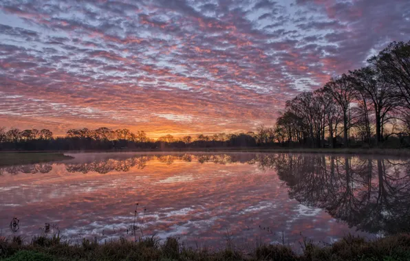 Картинка небо, вода, облака, деревья, закат, гладь, отражение, река, берег, вечер, США, Луизиана