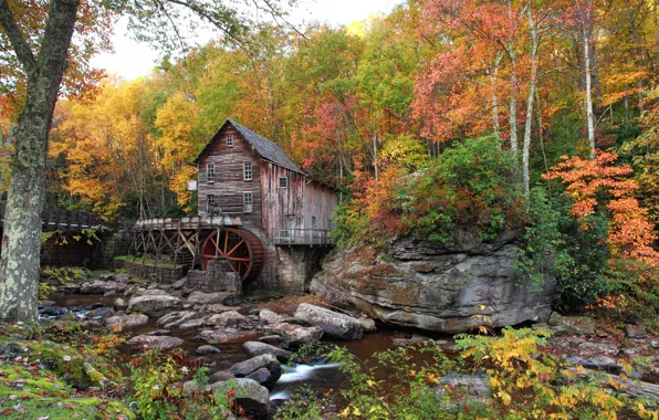 Картинка осень, лес, деревья, ручей, камни, США, Babcock State Park, водяная мельница, кусты