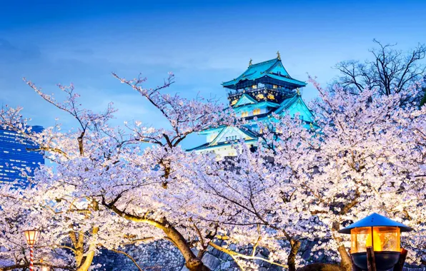 Картинка дом, весна, Япония, сакура, храм, цветение, Осака