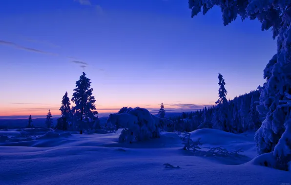 Картинка зима, лес, небо, облака, снег, деревья, закат, вечер, Норвегия