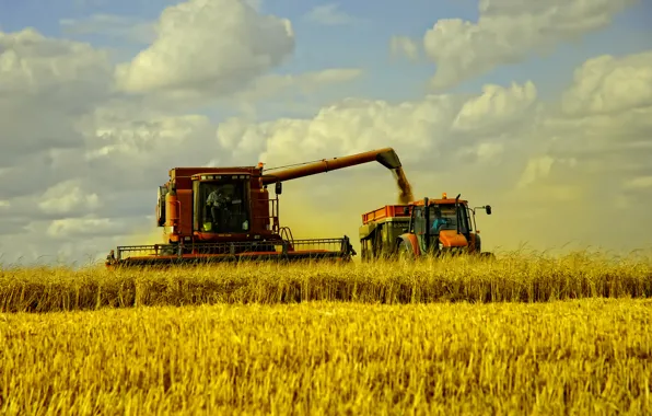 Картинка пшеница, поле, пейзаж, машины, сено, grass, autumn, fields, сбор урожая